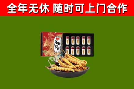 平远烟酒回收冬虫夏草礼盒.jpg